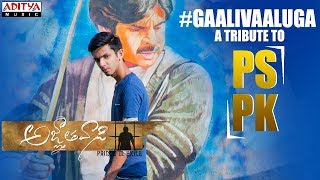 Gaali Vaaluga - A Tribute To #PSPK  Telugu Song
