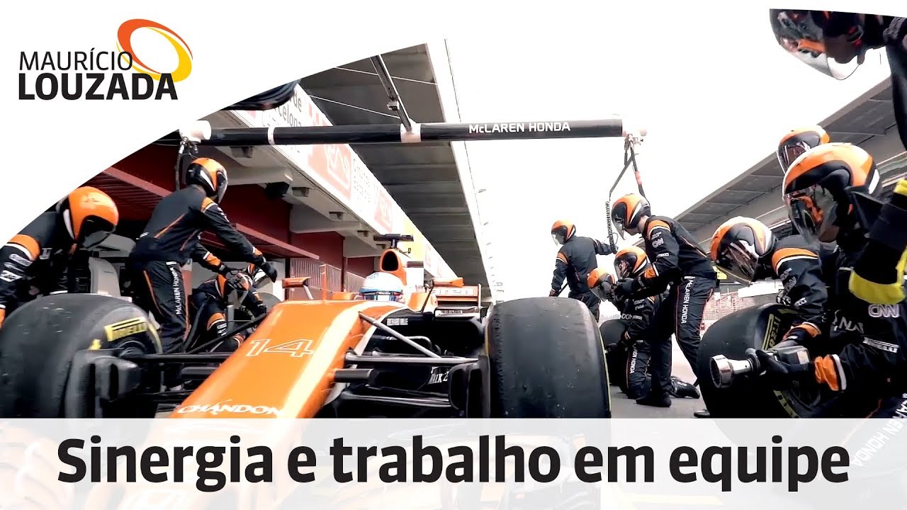 Maurício Louzada -  Sinergia e trabalho em equipe