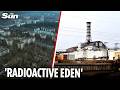Chernobyl's enduring fascination 40 years on from 'supernatural' radiation to ghost residents
