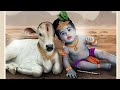 Jay Dwarkadhish WhatsApp StatusDwarkaJay Dwarkadhish Status Dwarka Jay Murlidhar Dada Pachhegam