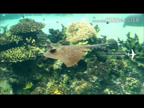 Shereen Tham -Australia gold coast day 3