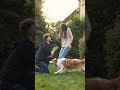 Dog Stole The Ring During Proposal Aishorts Shorts