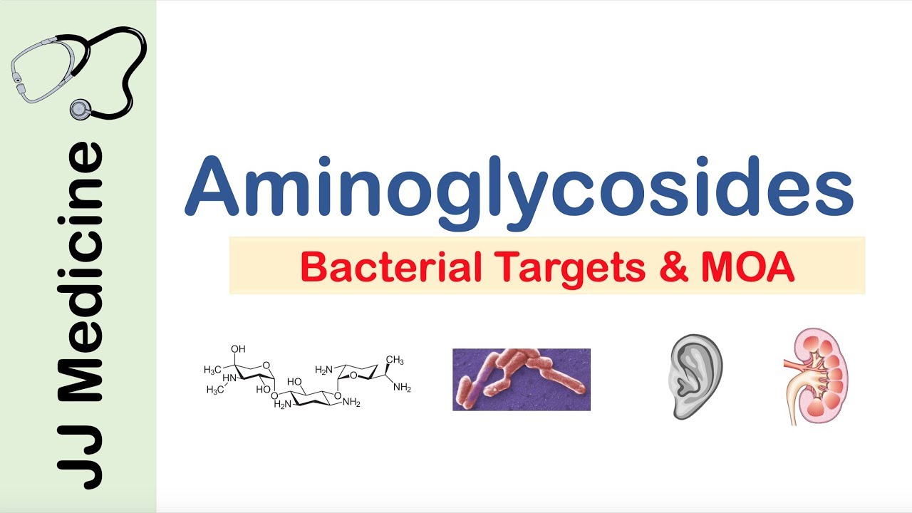 Aminoglycosides | Bacterial Targets, Mechanism of Action, Side Effects