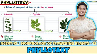 Morphology of Flowering Plants| Lec 12- Phyllotaxy| Class 11| NEET| Neetology