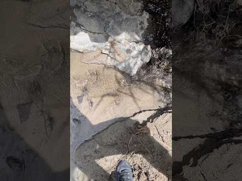 Nacimiento de agua en Santa Catarina Mita, Jutiapa.