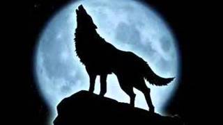 The Black Wolf rap Beat