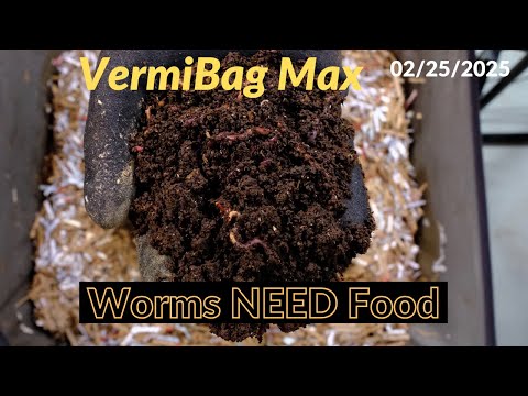 Vermibag Max -  Drying out but worms are fine 2/25/2026