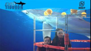 DIA 2 Expo Tiburon85