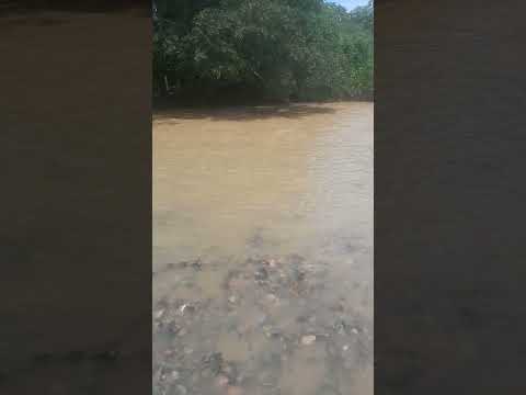 Rio ortega tolima