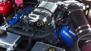 Hagerty Fantasy bid car 2011 Shelby GT500 Chris Cherryholmes