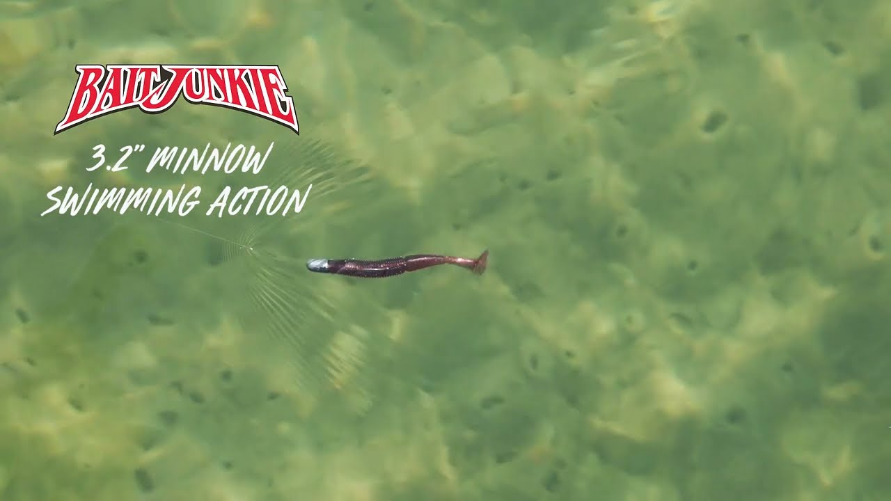 Daiwa Baitjunkie 3.2in Minnow Soft Plastics video thumbnail