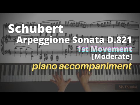 Schubert - Arpeggione Sonata D.821, 1st Mov: Piano Accompaniment [Moderate]