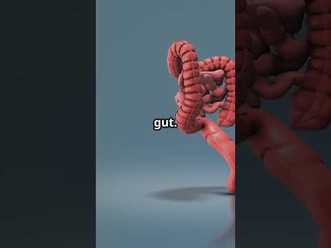 Bloat-Free Life: Watermelon & Cucumber SECRETS! #BloatingRelief#DigestiveHealth #SaveMoney