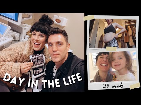 DAY IN THE LIFE | *realistic* 20 weeks pregnant with a toddler | Shenae Grimes Beech