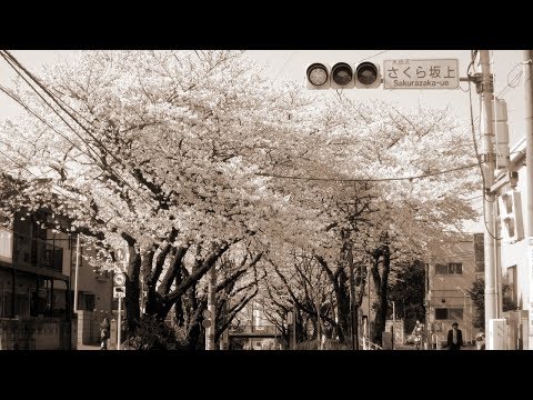 桜坂 - 福山雅治（フル） Video