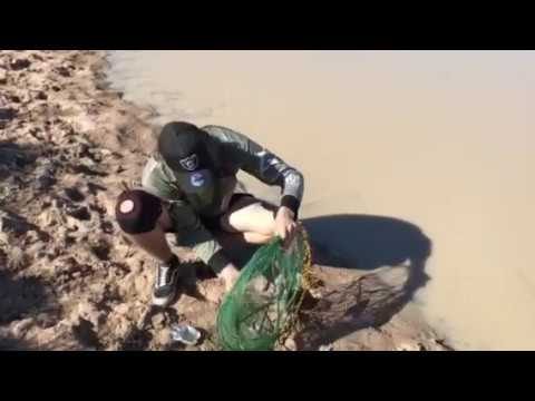 Fresh water yabby. Catch and cook