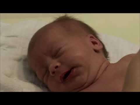 "Sześć tygodni" społeczny, reż. Marcin Janos Krawczyk, 2009, Polska, dystr. Staroń-Film