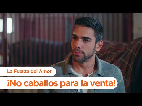 ¡Aquí no hay caballos para la venta! - La Fuerza del Amor