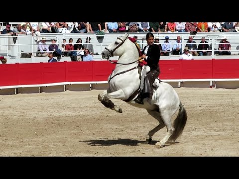 Arles 2025 - Puerta grande para la rejoneadora francesa Lea Vicens