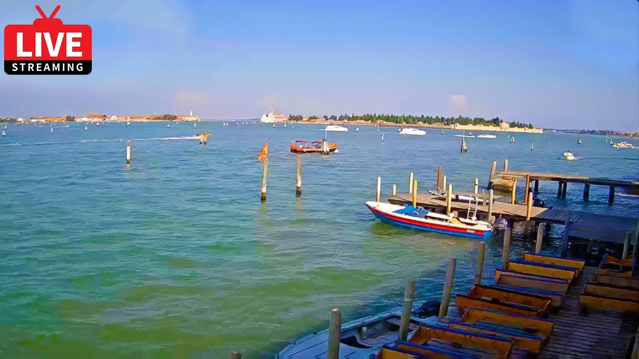 Live webcam view of St. Mark's Basin Venice View