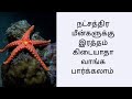 Star Fish Fact In Tamil Fish Facts