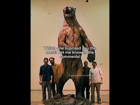 Modern animals vs their GIANT extinct relatives #prehistoric #extinct #deinosuchus #animals