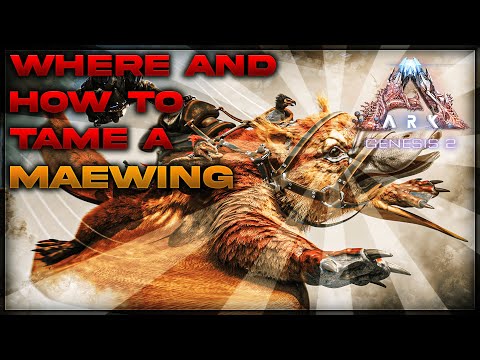Ark Genesis 2 | Where and how to tame MaeWing