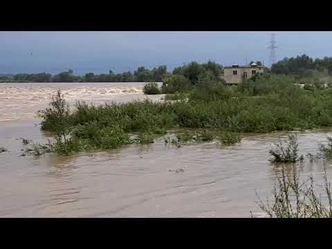 Stan wody na Dunajcu - Świniarsko 01.09.2021