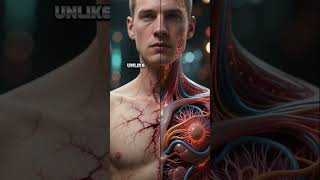 China Unveils Breakthrough in Limb Regeneration Research