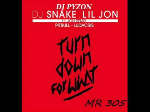 DJ SNAKE ft LIL JON & PITBULL & LUDACRIS " Turn Down For What " ( dj pyzon remix )