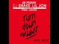 DJ SNAKE ft LIL JON & PITBULL & LUDACRIS ...