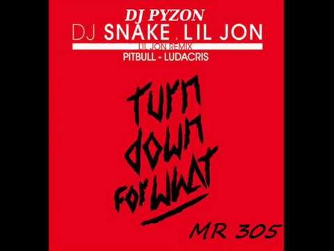 DJ SNAKE ft LIL JON & PITBULL & LUDACRIS 