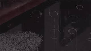 cigarettes after sex // young and dumb // slowed