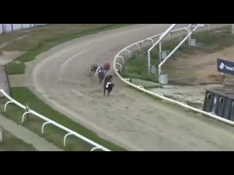 July 23rd 2022 - Coral Regency Semi- Final