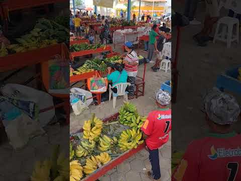 FEIRA DE SANTA INÊS BAHIA #shorts #feiralivre #santainês #bahia #turismo #entretenimento #cidade