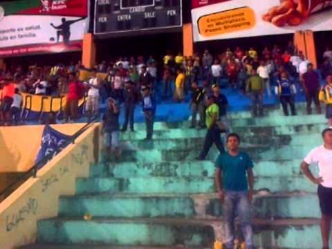 "delfin campeon en portoviejo 2013" Barra: La Banda Cetácea y Perro Muerto • Club: Delfín SC