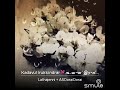 Kadavul Irukkindrar By Lathajenni Lion AS Durai SPREAD LOVE PEACE IN THE WORLD
