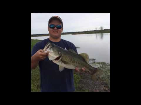 Eminem- Slim Shady (2016 Redux)