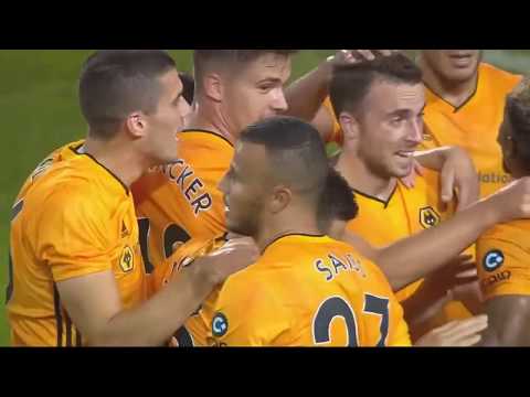 Torino vs Wolves 2-3 Highlights & Goal 2019 HD