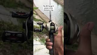 Download lagu Tes bc harga 5 jutaan mirip shimano zing #shorts #short  #mancing #shimano #casting #toman #gabus mp3