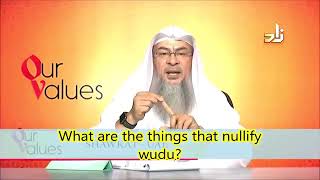 What are the things that nullify my ablution (wudu) - Sheikh Assimalhakeem