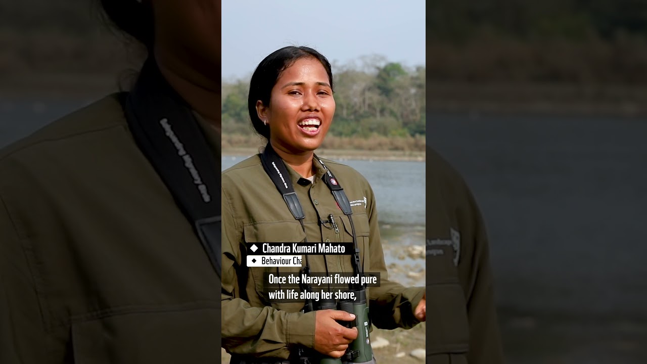 Safeguarding migratory birds