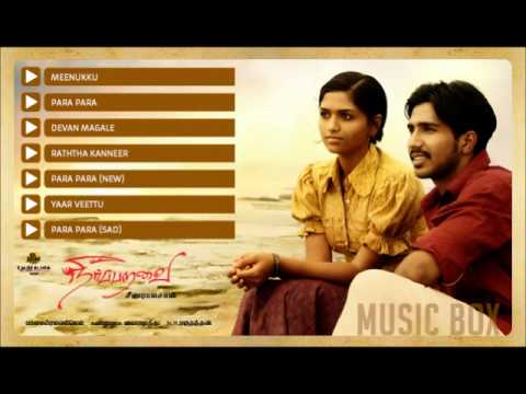 Neerparavai Music Box