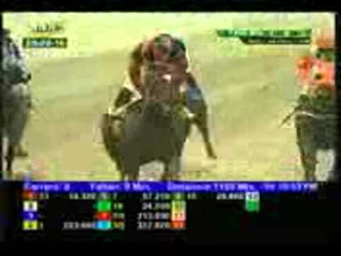 Resumen Domingo, 28 Febrero 2016   La Rinconada Cortesia RADIO ENLACE SATELITE