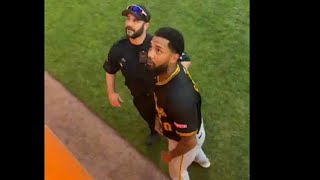 Pirates pitcher Dennis Santana swings at fan by bullpen