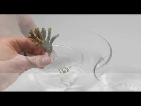 Watch Video on YouTube