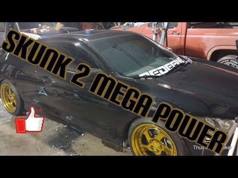 2019 Civic si skunk2 mega power exhaust