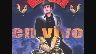 valentin elizalde   vida prestada