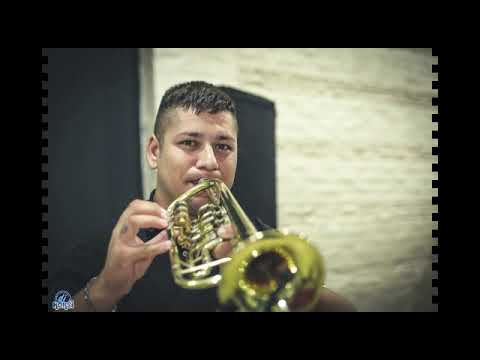 Pujiculje-Sara Pavlovic-cover(live) PARTY BAND