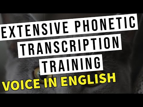 PHONETIC TRANSCRIPTION TRAINING_Chapter 2_Solved &Explained Exercise_A Course in Phonetics [ENGLISH]